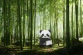 wielka Panda w lesie bambusowym.jpg