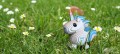 069_unicornsky_3_JPG.jpg