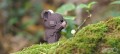 39_bear_05_jpg.jpg