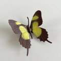 Produktowe-16.jpg