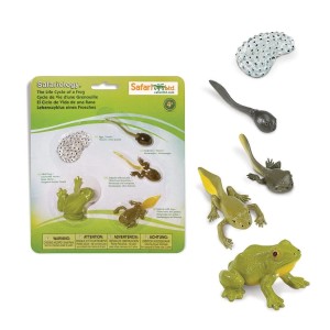 Cykl Życia Żaby. Zestaw Figurek Safari Ltd.