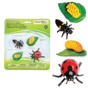 Cykl Życia Biedronki. Zestaw Figurek Safari ltd.   
