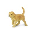 golden retriever pies.jpg