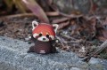 DSC04521.JPG