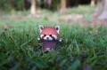 DSC04528.JPG
