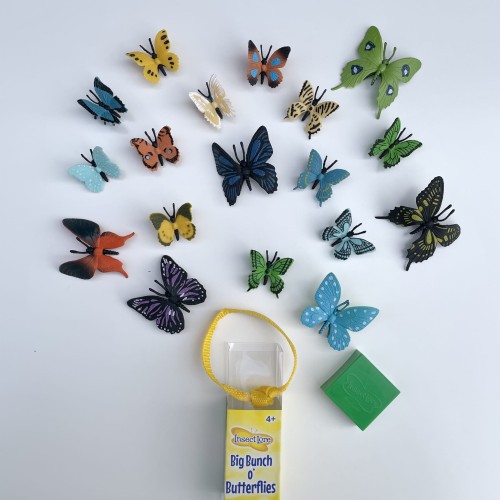 motyle tuba z motylami insect lore