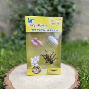 Cykl Życia Mrówki. Zestaw Figurek Insect Lore. 