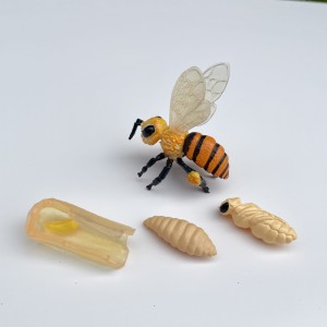 Cykl Życia Pszczoły. Zestaw Figurek Insect Lore. 
